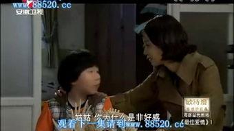 国产宾馆普通话视频,揭秘现代都市生活百态