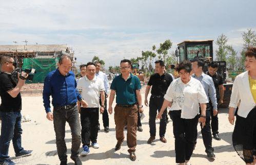 国产荣耀之光5进展视频,国产新机亮点抢先看，技术革新引领潮流