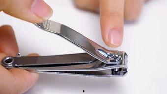 国产指甲刀测评视频网站,品质与性价比的深度解析