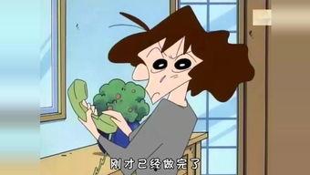 国产动漫吵架视频合集免费观看,笑料百出，免费观看欢乐无限