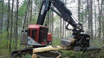 国产伐木机发明视频,视频揭秘高效伐木新篇章