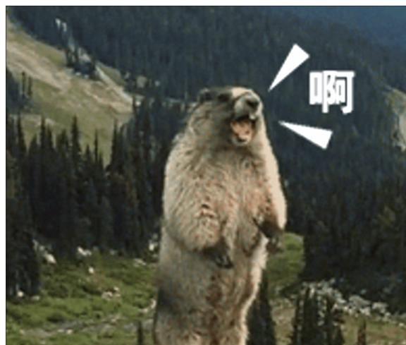 国产土拨鼠搞笑视频